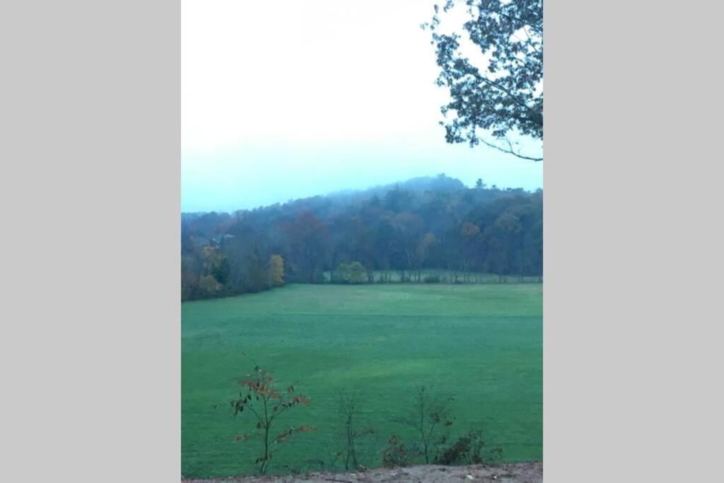 Serenity Views Comfort - Close To City & Parkway! Weaverville Exterior foto